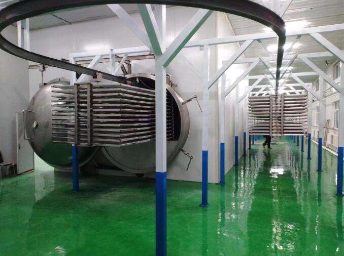 遼寧東北凍干機生產廠家.jpg